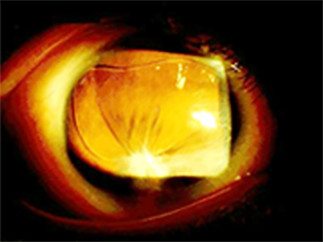 色彩平衡 1 拷貝 3 (2)