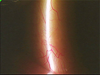 色彩平衡 1 拷貝 3